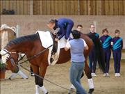 voltitag 2009 _CD1 109